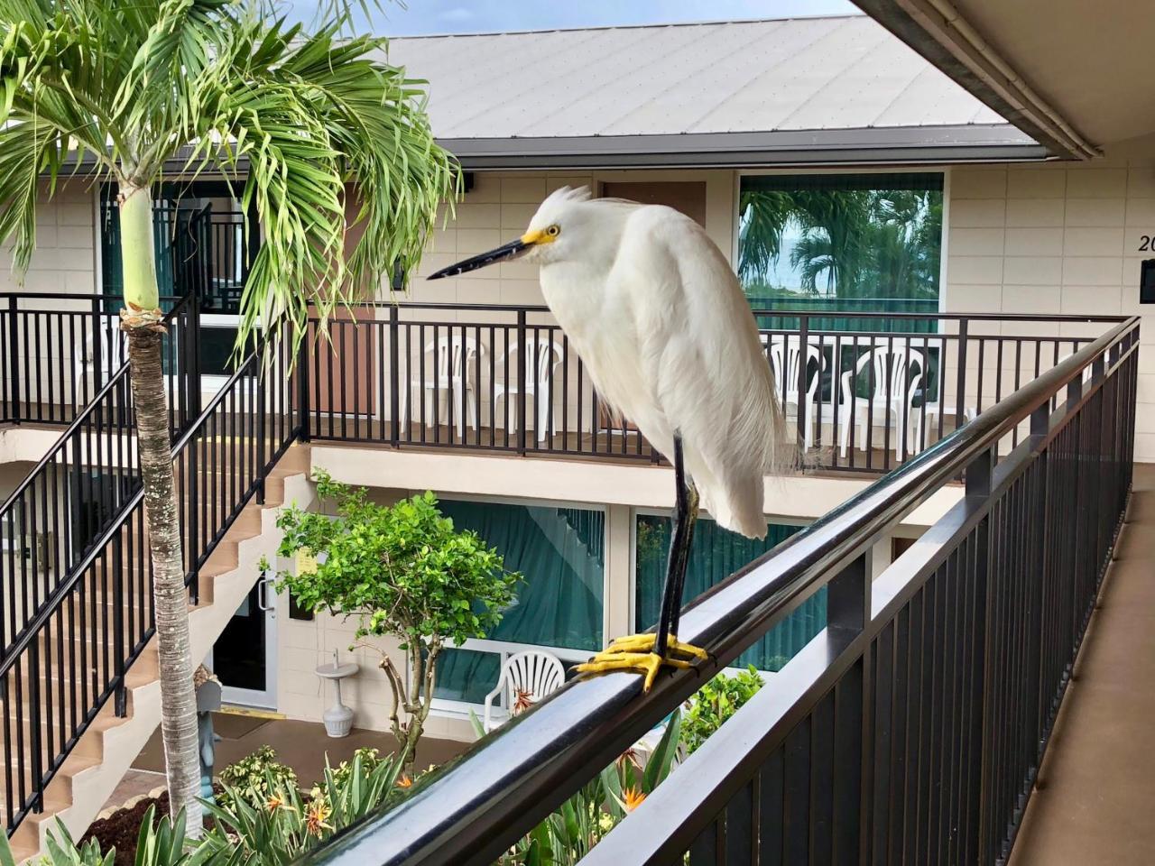 Caribbean Beach Club Fort Myers Beach Luaran gambar